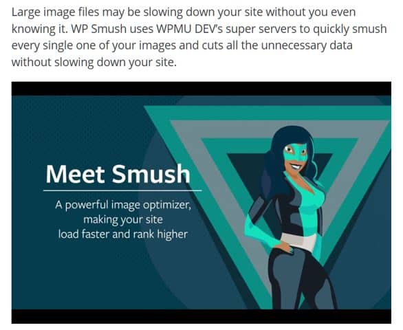 WordPress plugin Smushit