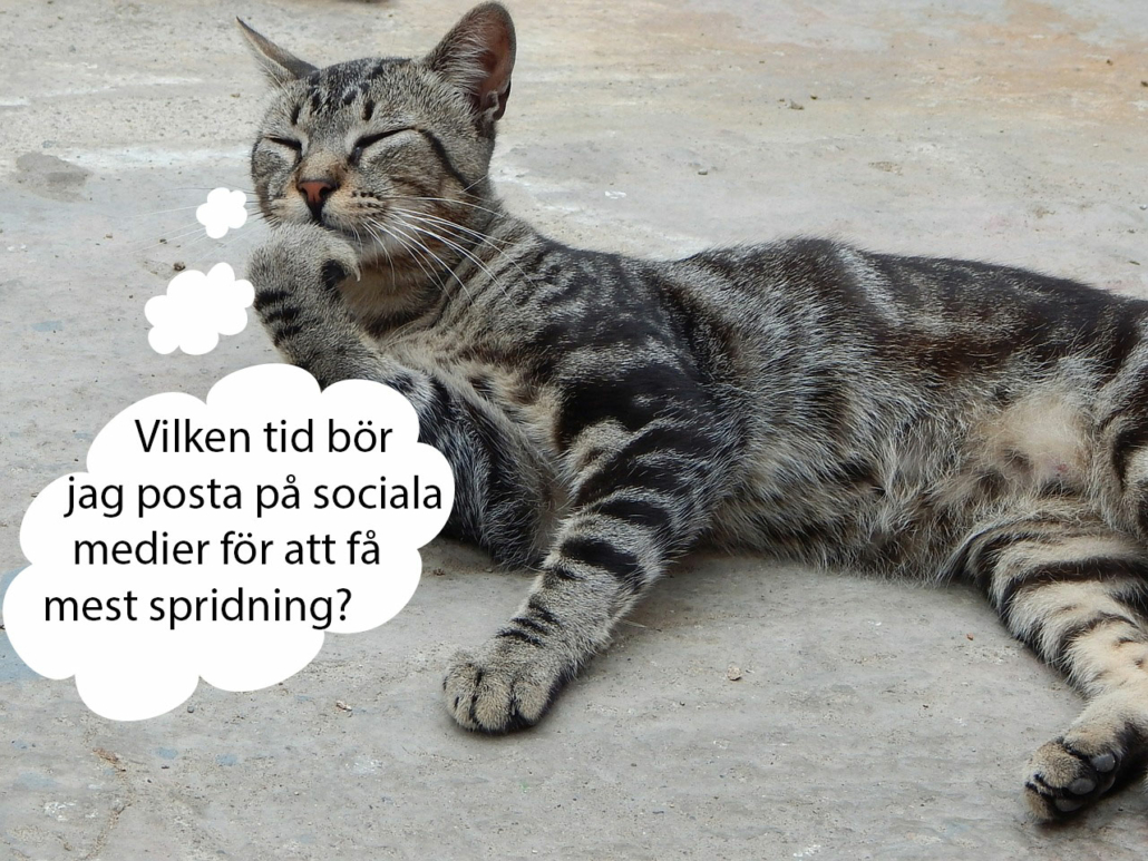 Sociala medier publicering